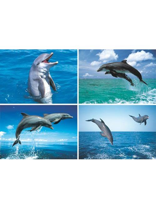 ansichtkaarten dolfijnen