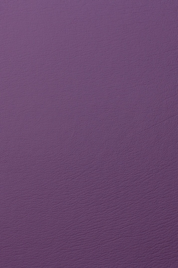 Purple Iris