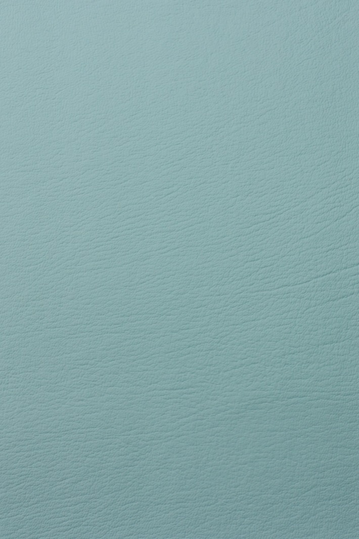 Light Teal
