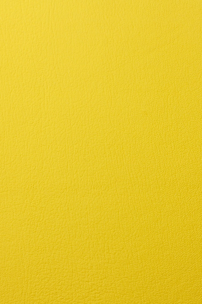 Lemon Peel