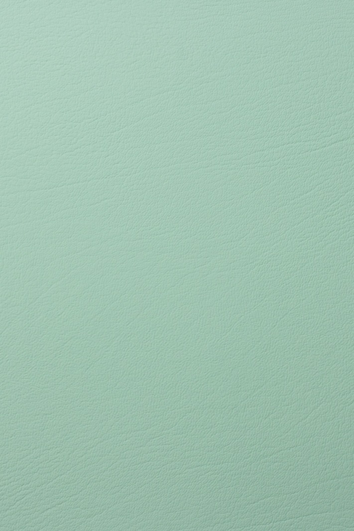 Mint Julep