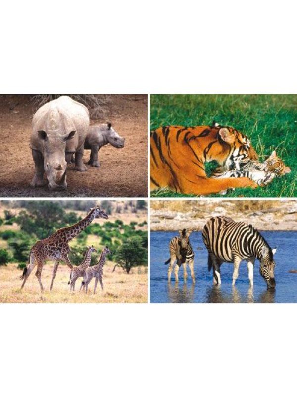 Ansichtkaarten serie 4134 – wilde dieren foto 1
