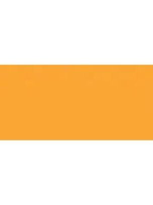 Gekleurd A4 papier 160 gram Oranje 250 vel