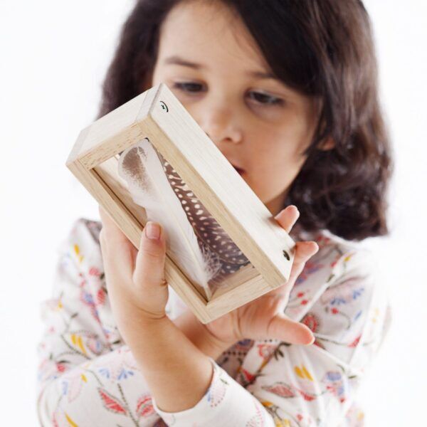 Guidecraft Transparante schatblokken