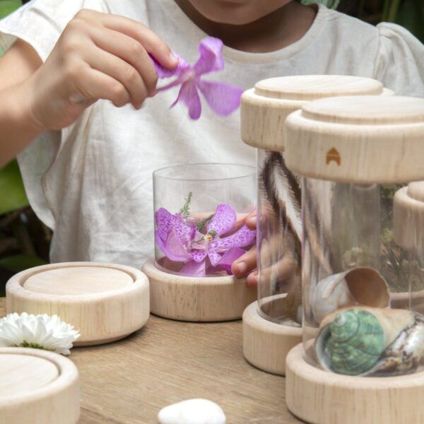 Guidecraft Natuurlijke Schatbuizen Helder