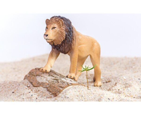 Afrikaanse dierenset – 10 stuks