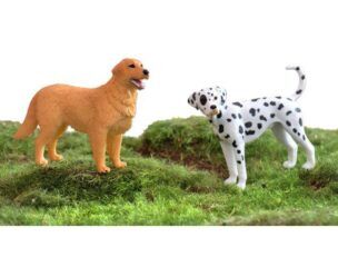 Huisdieren – 8 stuks foto 2