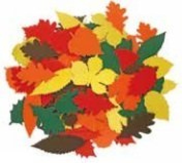 Ribbelkarton Herfstbladeren in verschillende kleuren foto 1