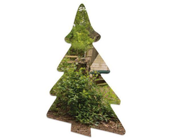 Wandelementen 3 Bomen spiegels voor binnen en buiten