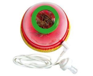 ”Zoemers studio” – Insectengeluidspotje foto 2