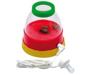 ”Zoemers studio” – Insectengeluidspotje