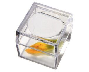 Insectenkijker – Insectenpotje met vergrootglas