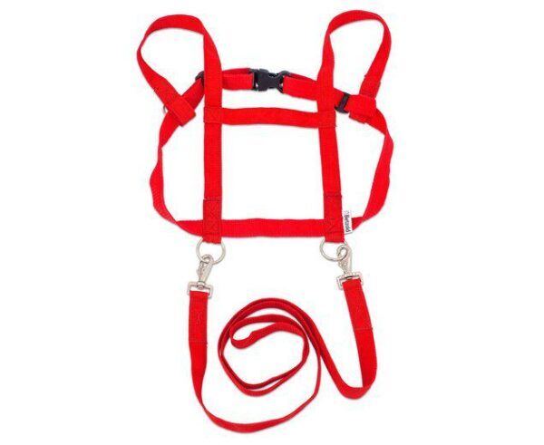 Paardentuigje – 100% Nylon