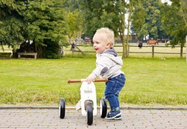 Mini Loop Driewieler – 1 tot 3 jaar