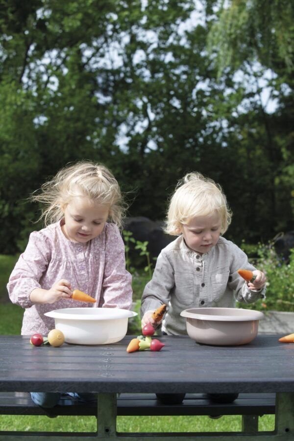 Dantoy Tuinieren en Planten Groepsset-  54-delig