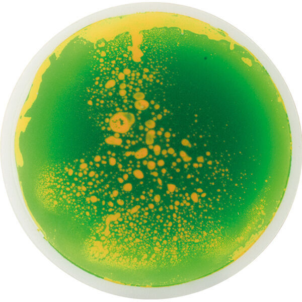 Sensorische Matten Rond – Set van 4