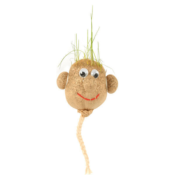 Gras hoofd, 12 stuks