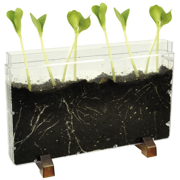 Huis voor Plantwortels en wormen