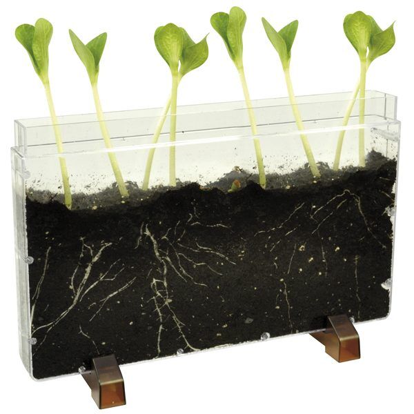 Huis voor Plantwortels en wormen foto 1