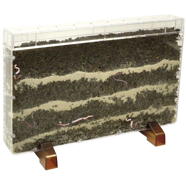 Huis voor Plantwortels en wormen foto 2