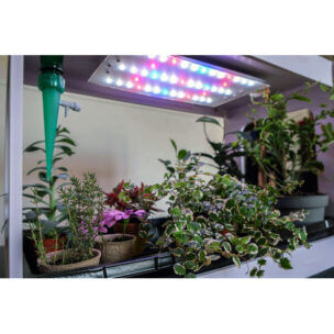 Plantenkas met ledverlichting foto 2