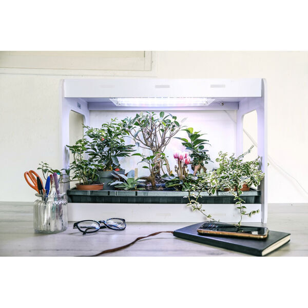 Plantenkas met ledverlichting