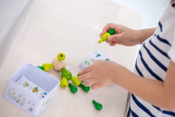 Plan Toys Houten Balanceerspel Mini Cactus