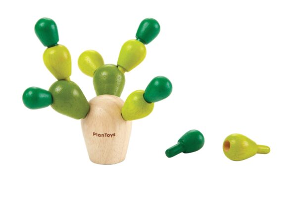 Plan Toys Houten Balanceerspel Mini Cactus foto 1