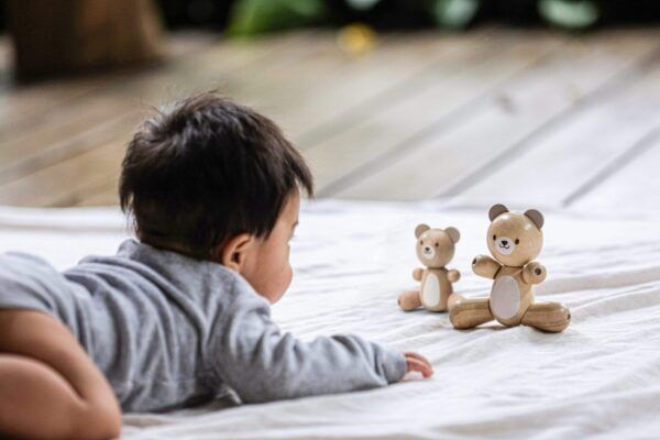 Plan Toys Houten beren – grote beer en kleine beer