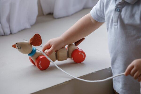 Plan Toys Houten trekdier Vrolijke Hond