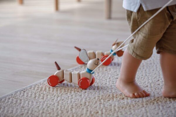 Plan Toys Houten trekdier Vrolijke Hond