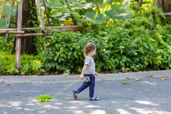 Plan Toys Houten Trekdier Dansende Krokodil