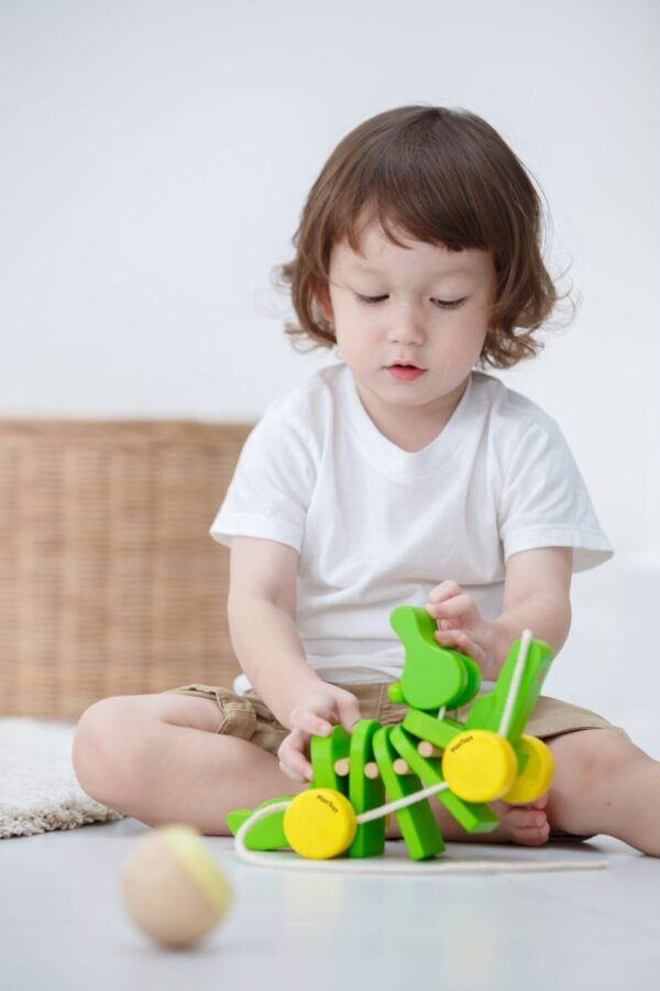 Plan Toys Houten Trekdier Dansende Krokodil