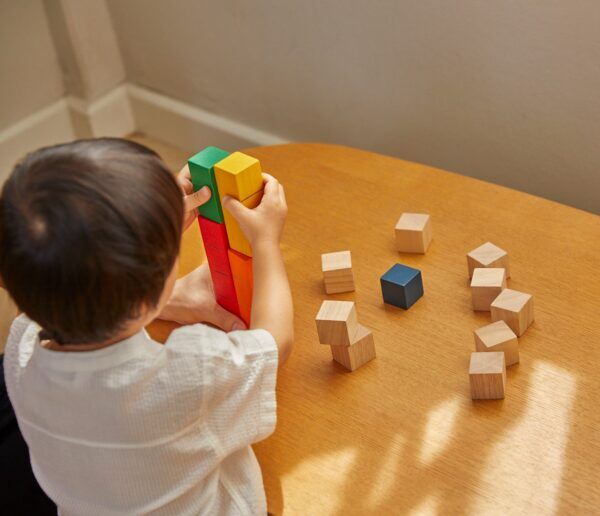 Plan Toys Houten gekleurde telblokken – Unit Link