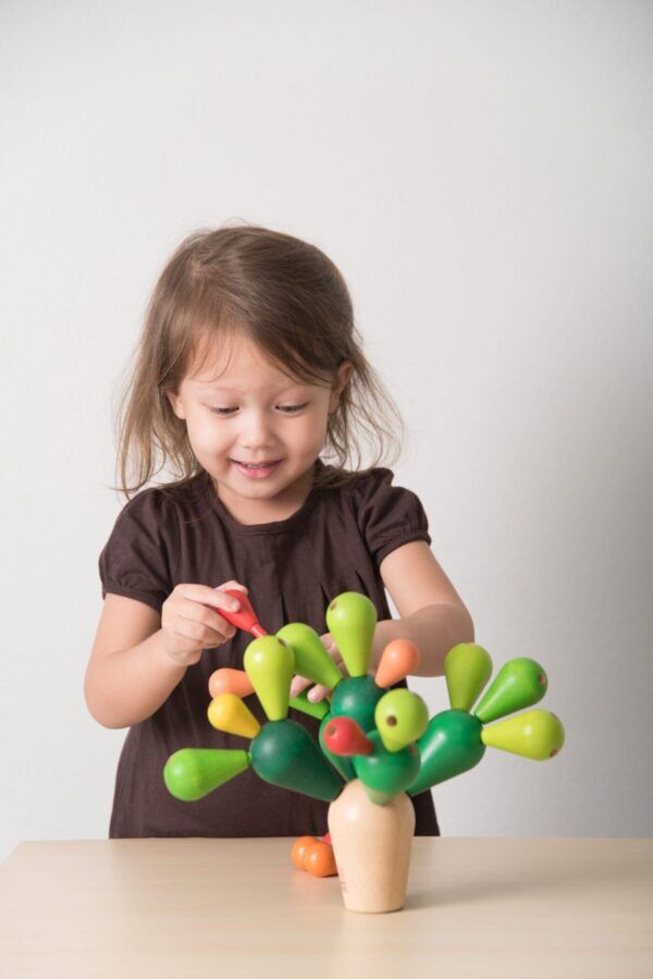 Plan Toys Houten Balanceerspel Cactus