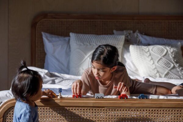 Plan Toys Houten Mini auto’s set