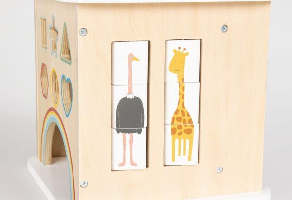 Motorische Vaardighedenkubus