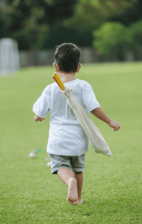 Plan Toys Mini Golf Set