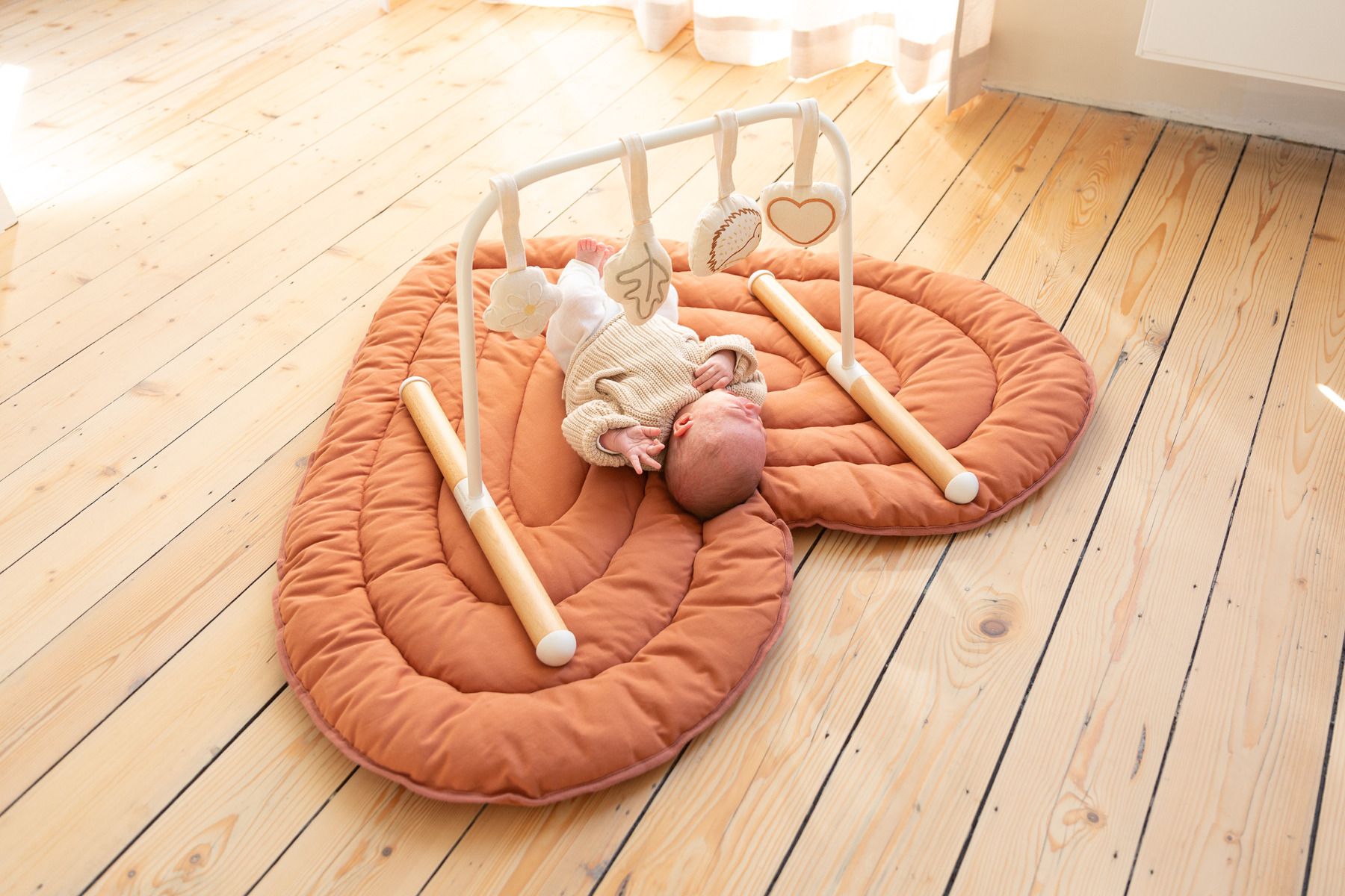 evotbnw_gymtoysfs_ccpmhh_mood_3 babygym wit
