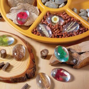 Guidecraft Proefmonster Stenen: Planten foto 2