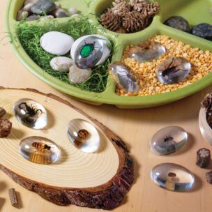 Guidecraft Proefmonster Stenen: Insecten foto 2