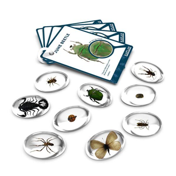 Guidecraft Proefmonster Stenen: Insecten