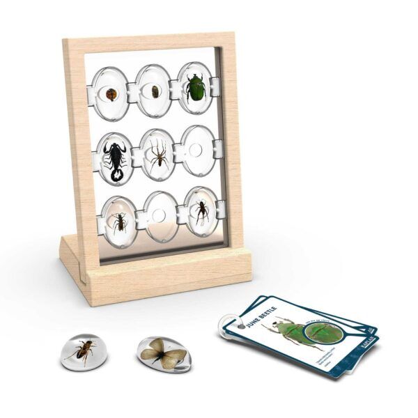 Guidecraft Proefmonster Stenen: Houten Standaard