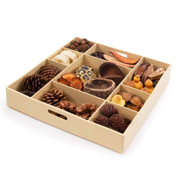 Guidecraft Natuurlijke set – Loose Parts Stem Set