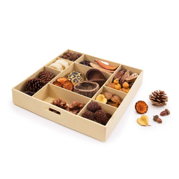 Guidecraft Natuurlijke set – Loose Parts Stem Set