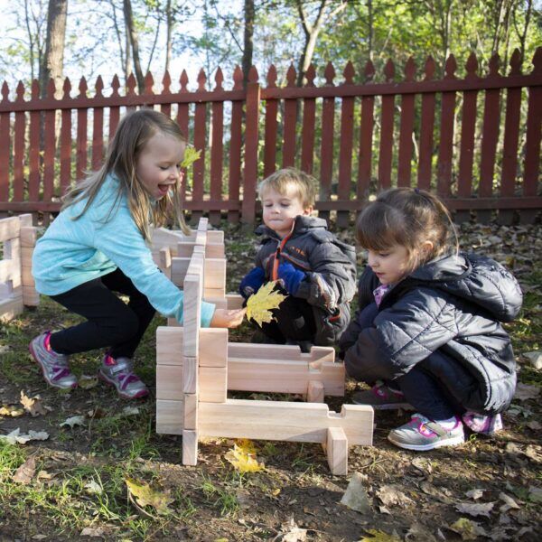 Guidecraft Notch blokken – Set 89 stuks.