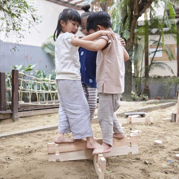 Guidecraft Notch blokken – Set 89 stuks.