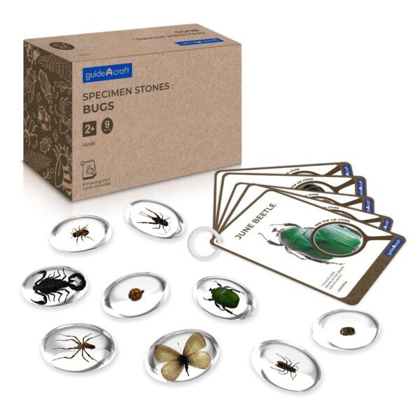Guidecraft Proefmonster Stenen: Insecten