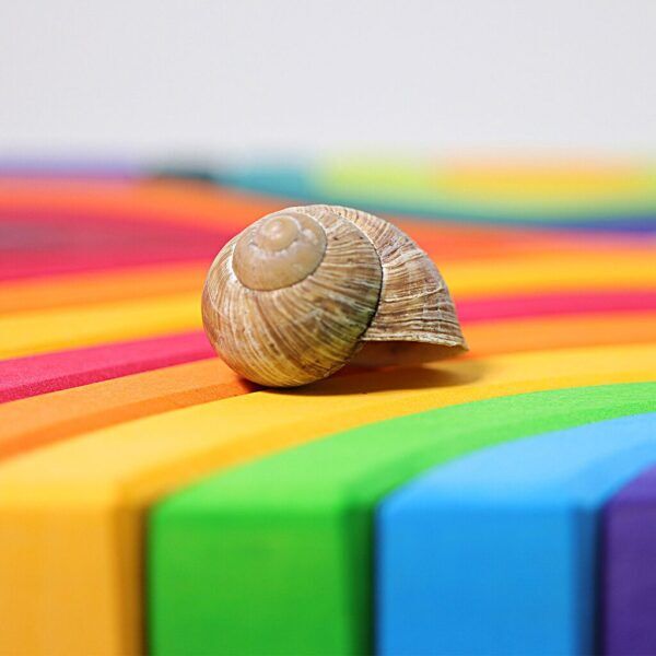 Grimms Vier Elementen Bouwset