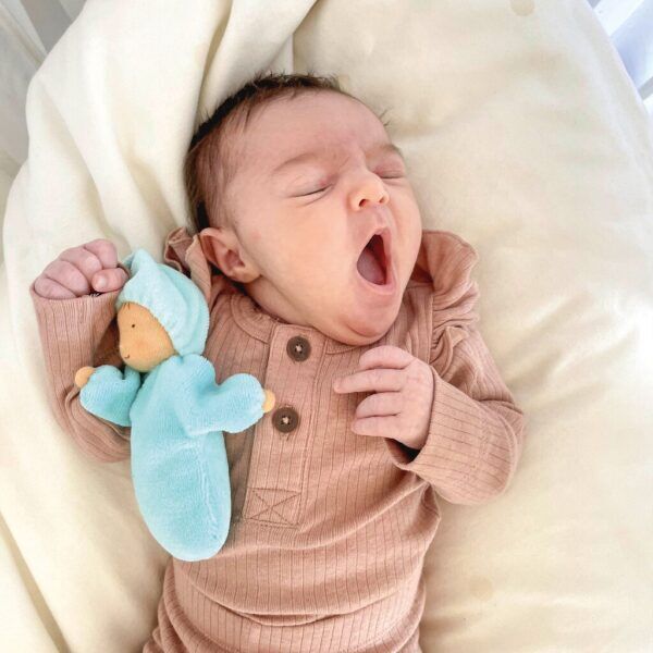 Grimms Lavendel Pop – Aqua